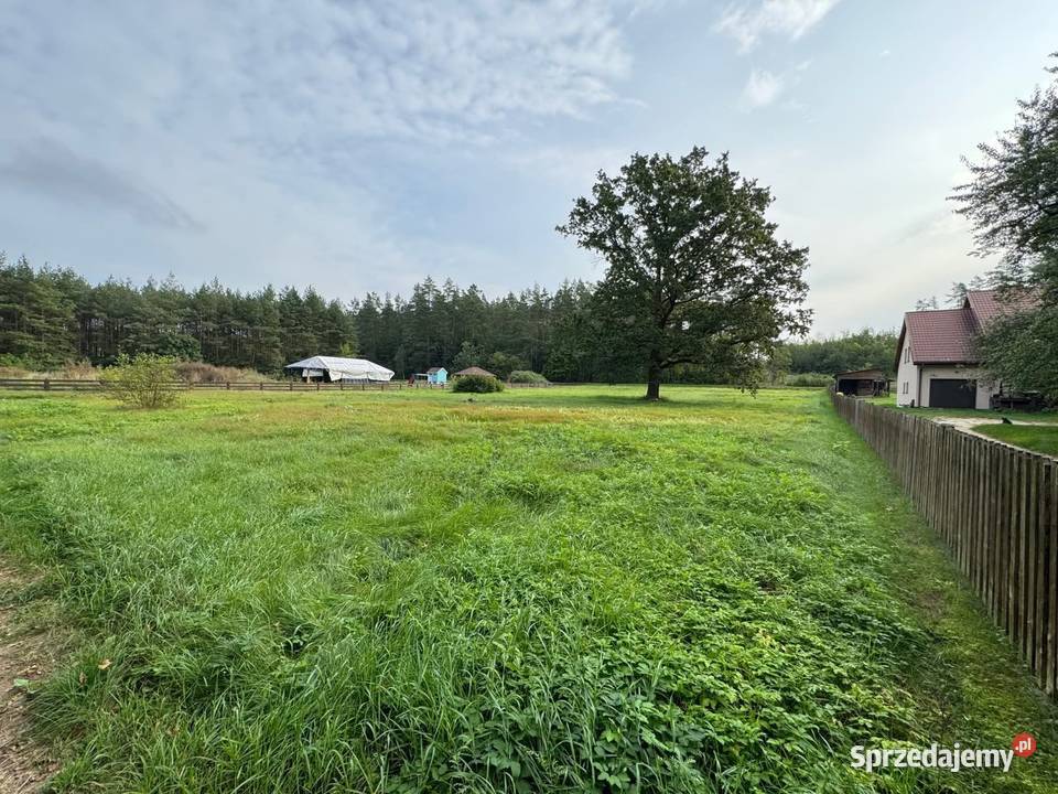 Działka budowlana o pow 3 499 m we wsi Jeże