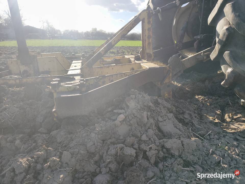 Głębosz trójka nieuszkodzony Dryja