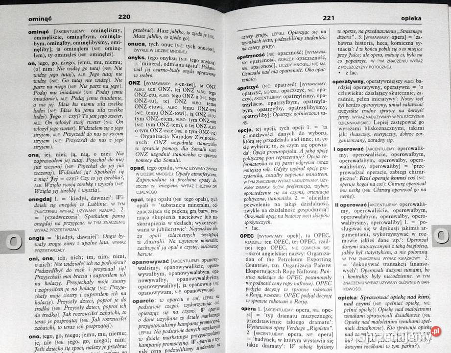 Szkolny słownik poprawnej polszczyzny Magdalena Rok wydania 2002 Chełm