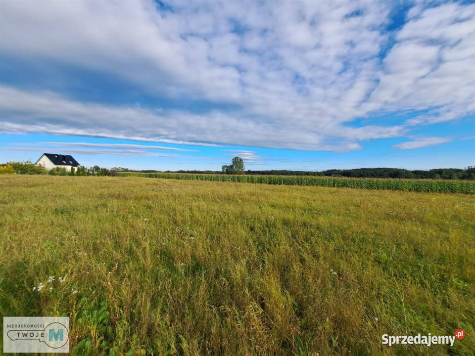 Ogłoszenie grunt Pierzchnica 6600m2 6600m2 Grunty i działki świętokrzyskie