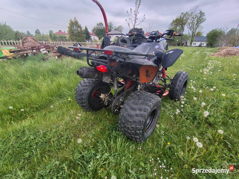 Quuad Dinli Lacki Star 300 nieuszkodzony Dinli Medynia Głogowska