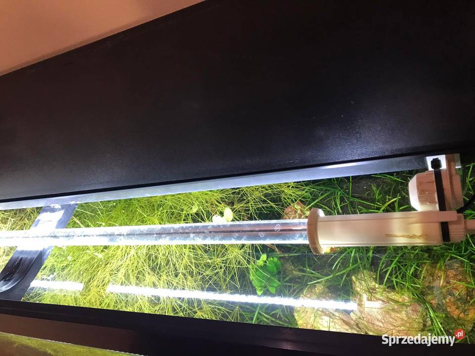 Sprzedam akwarium Juwel odcienie brązowego