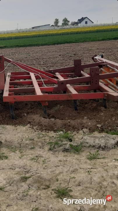 Sprzedam grubera bezorkowca nieuszkodzony