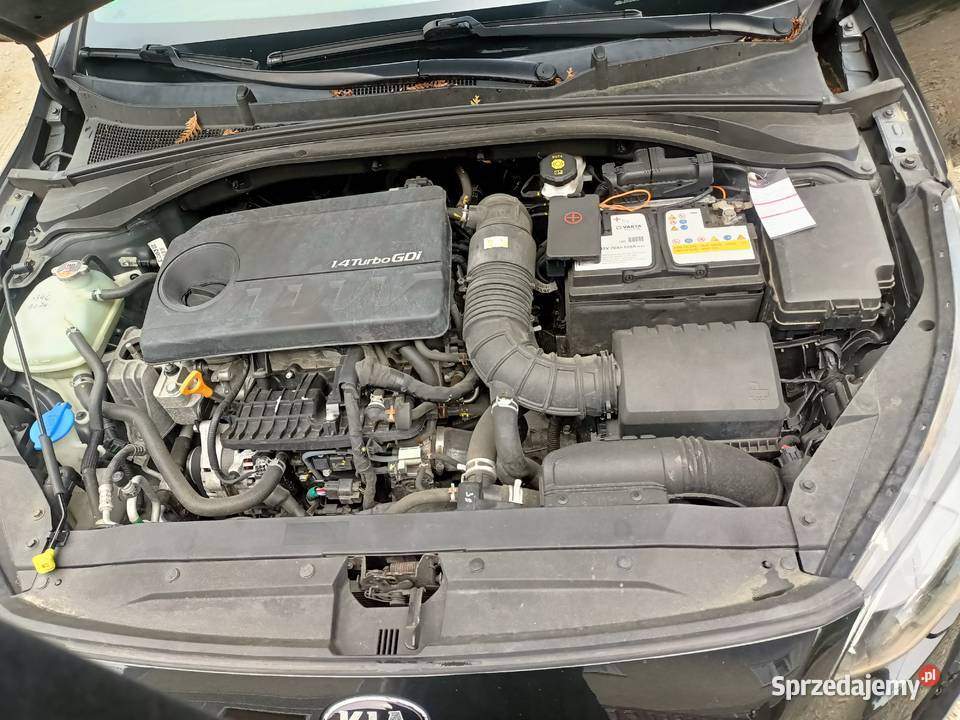 Kia Proceed GTLine 14 Tymbark sprzedam