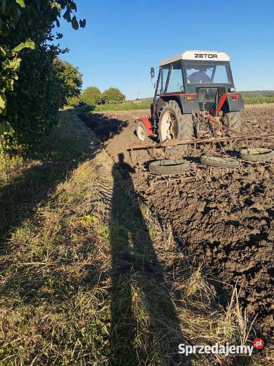 Zetor 7011 Dragany
