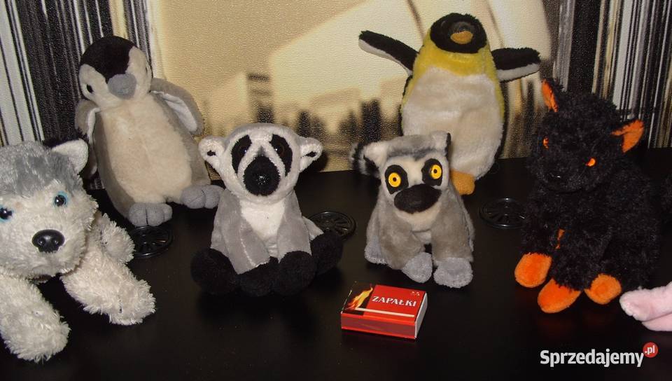 2 Lemurki Piesek2 Kotki2 PingwinyZestaw Rawicz sprzedam