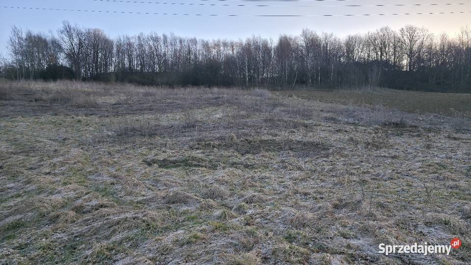 Dom ze Stodołą i Stajną 190 ha Woźniczna