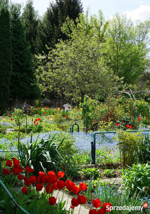 KAWALERKA WARSZAWA OCHOTA 28m2 28m2 Warszawa