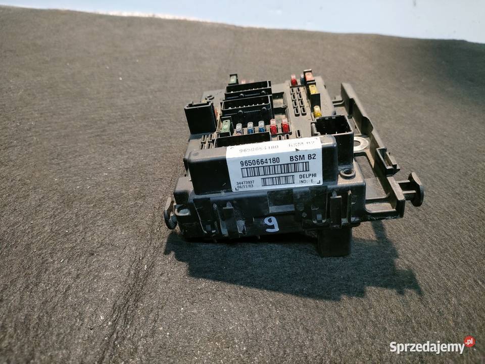 PEUGEOT CITROEN MODUŁ BSM B2 Swarzędz