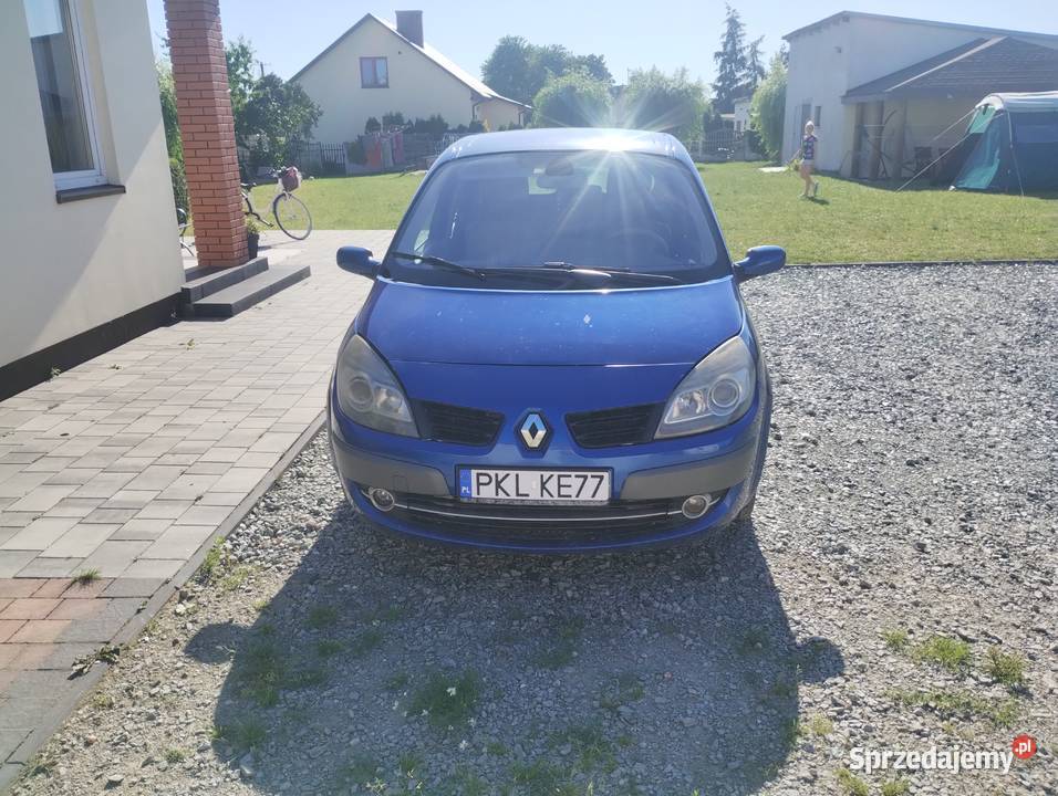 Renault Scenic wielkopolskie Korzecznik