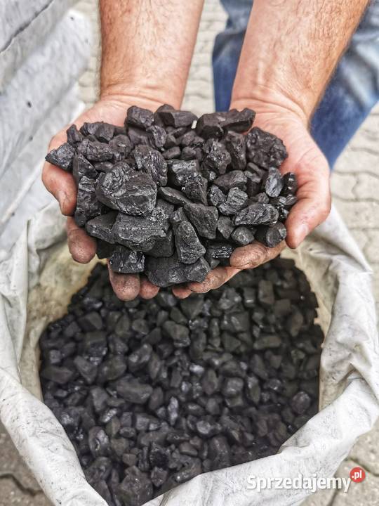 Pellet Farm Żwirek zwierząt Zachodniopomorskie Marianowo