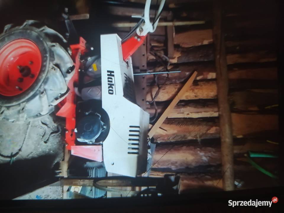 Jako ogrodniczy pomorskie Główczyce