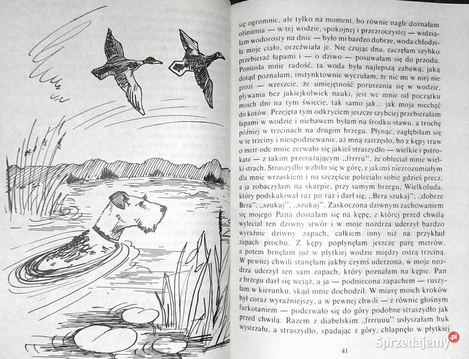 HistoriaHistoria nie z tej ziemi Edward