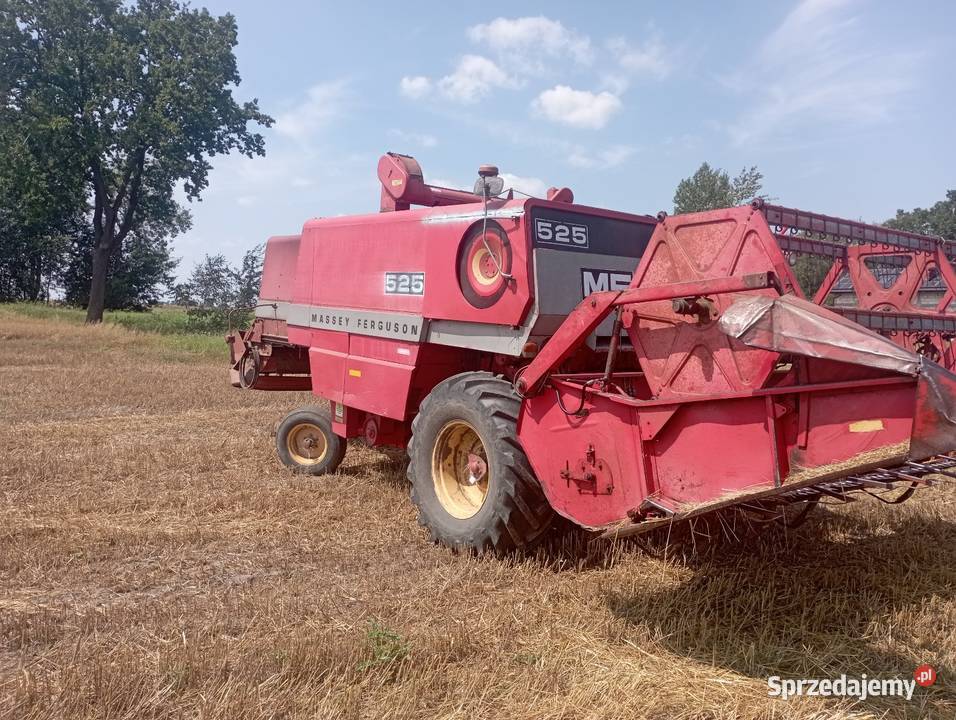 Wyprzedaż Massey Ferguson 525 Samorządki