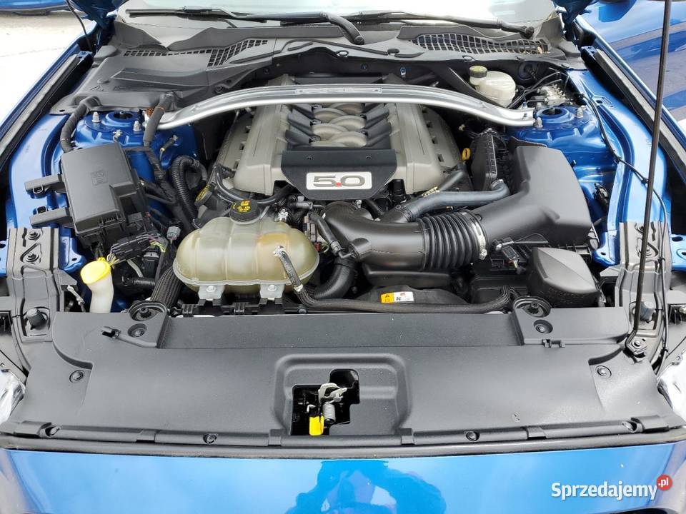 2017 FORD MUSTANG GT 450KM Mustang Częstochowa