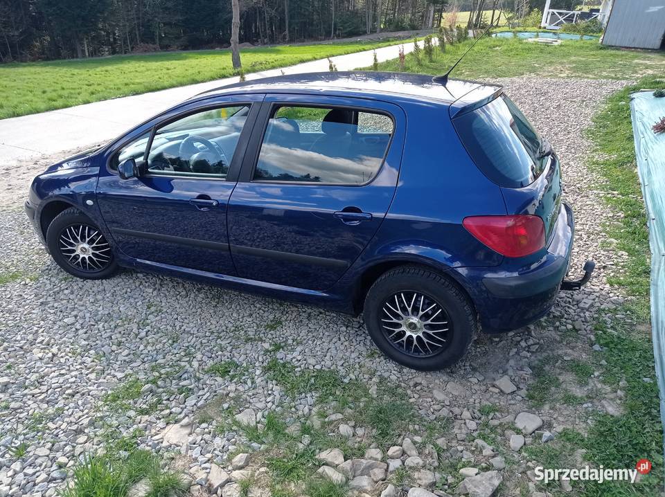Peugeot 307 16 benzyna 169 Przebiegu niebieski Grybów sprzedam