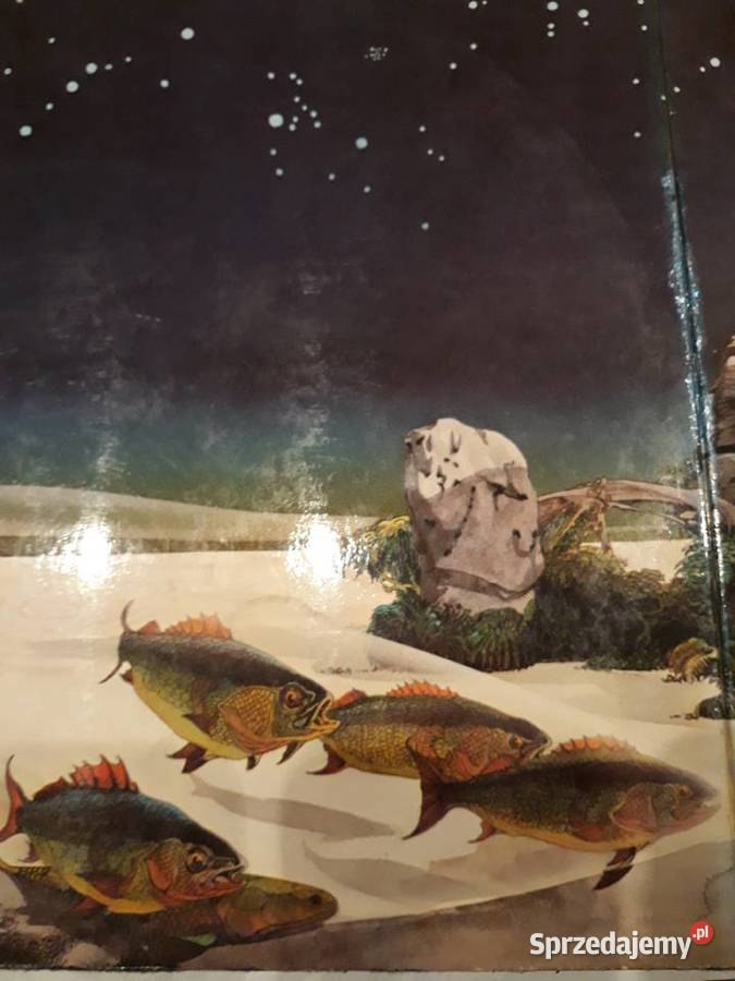 YES Tales From Topographic Ocean 19732 rock Rzeszów