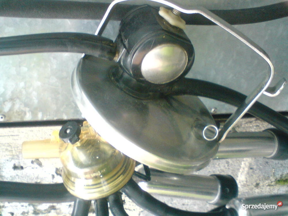 konwie na mleko Rolnictwo Koło