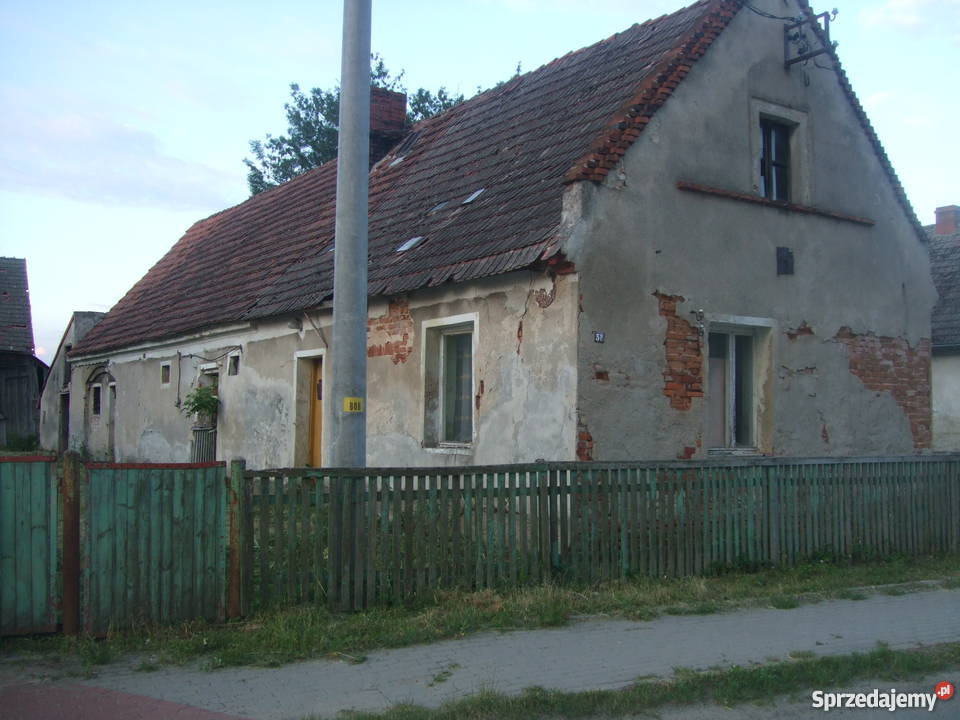Dom działka 29 arów woda Grunty i działki Czepielowice