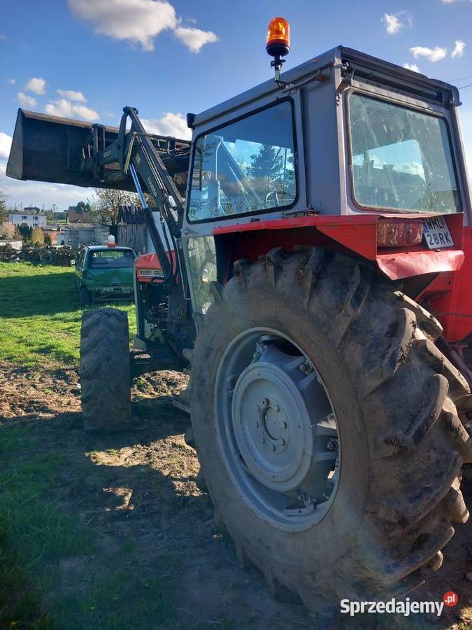 Sprzedam ciągnik massey ferguson 590 z turem Pączewo