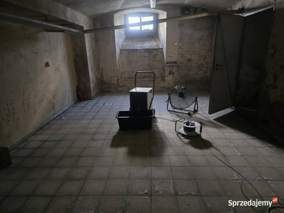 Osuszanie budynków Wynajem osuszaczy wycieków Mikołów