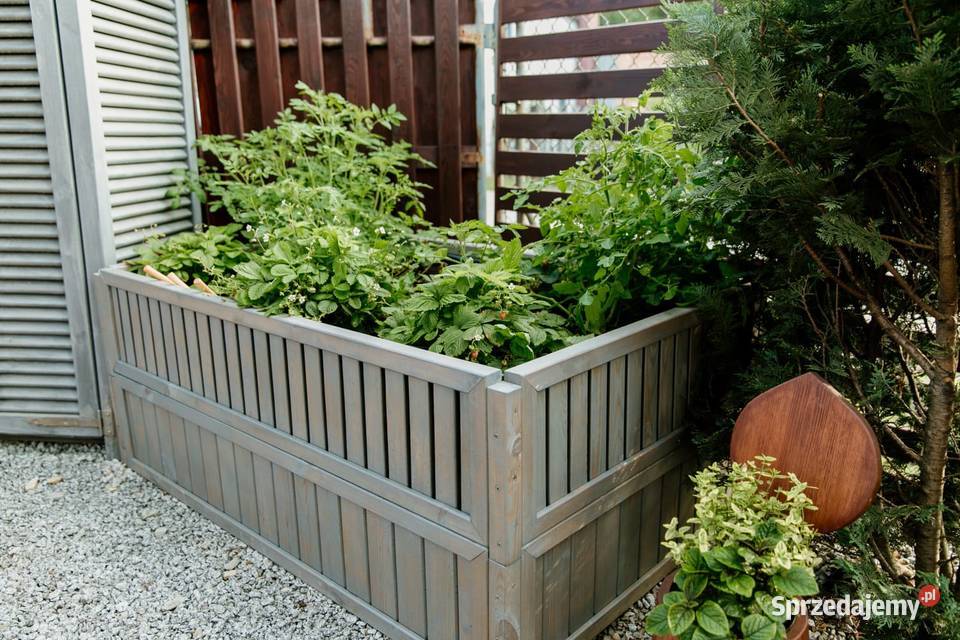 Warzywnik skrzynia ogrodowa zielnik kwietnik Kalety