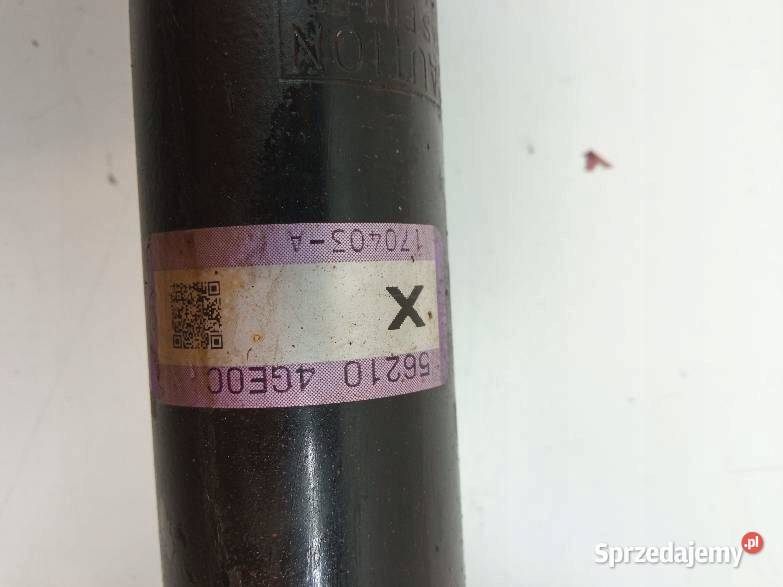 AMORTYZATOR TYŁ 20 T 562104GE0C Infiniti Q50 I Rok produkcji 2017 Amortyzatory świętokrzyskie