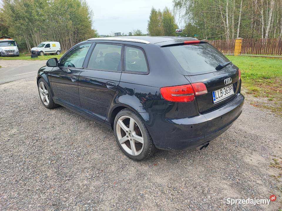 Audi A3 8P lift 19 TDI