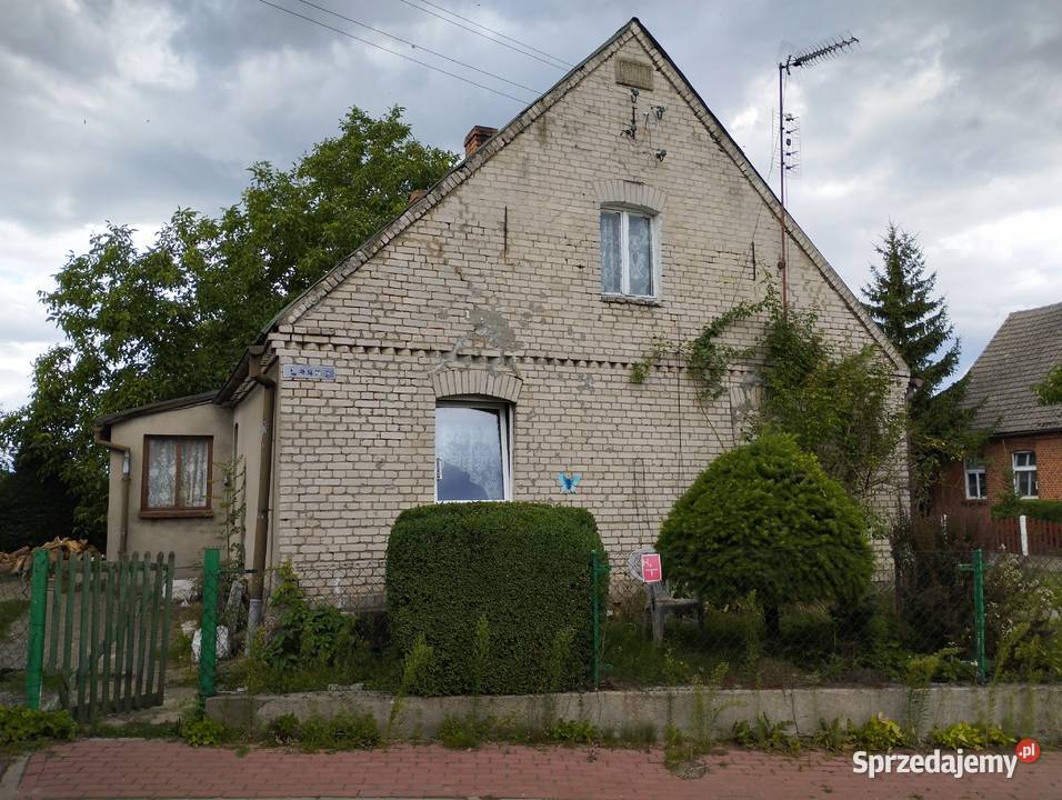 Działka 1500 m2 z domem 80 m2 Sprzedaż Sucha