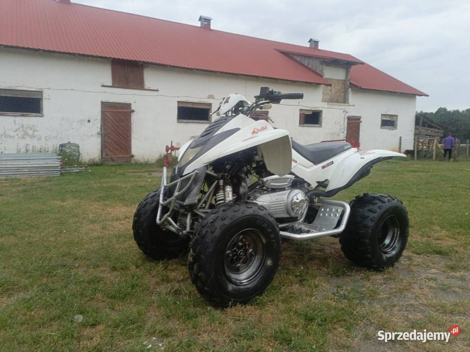 Quad dinli dl801 3003 Biała Podlaska sprzedam
