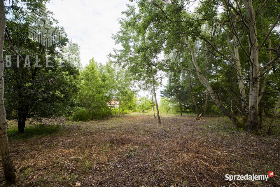 Sprzedaż ziemi 1195m2 Wilcza Góra Polna
