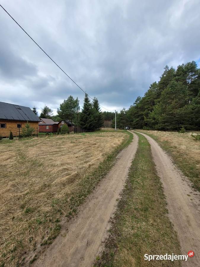 Działka Wzdłuż ściany 80letniego lasu PRĄD mazowieckie Mącice