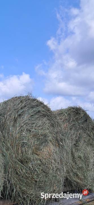 Siano Trawy, słoma lubelskie Tuczna