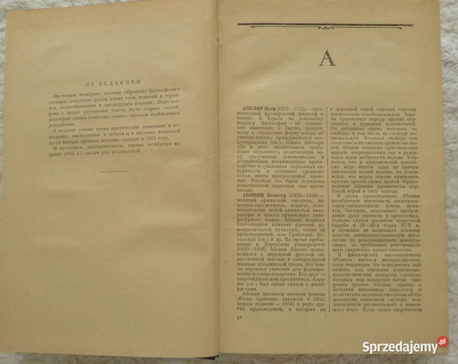 Podręczny słownik filozoficzny rosyjsku Warszawa