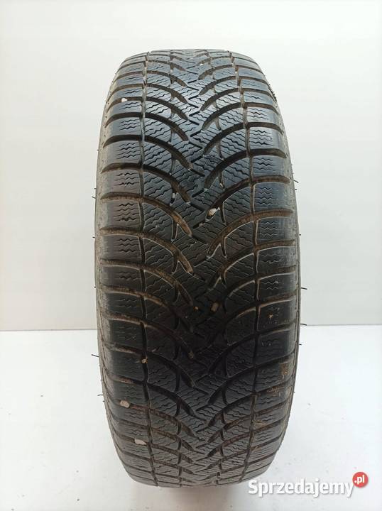 OPONA ZIMOWA EQUIPE ALPINE MASTER 4 19565R15