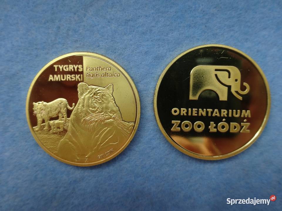 Złota Polska Zoo Orientarium Łódź Tygrys amurski