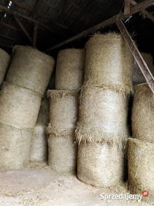 Sprzedam siano Zelów