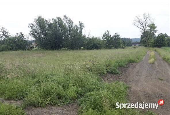 Działka budowlana 6100m2 Chmielno