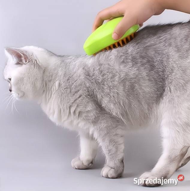 Szczotka parowa kota psa masażer Zielona Zawiercie