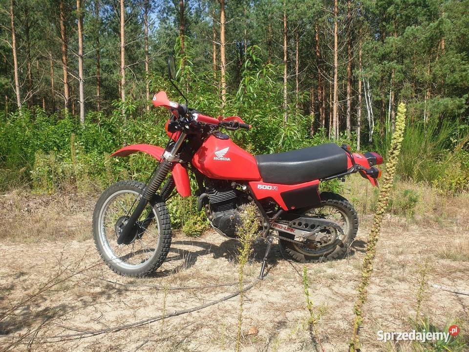 Honda XL500R Kaczorowy