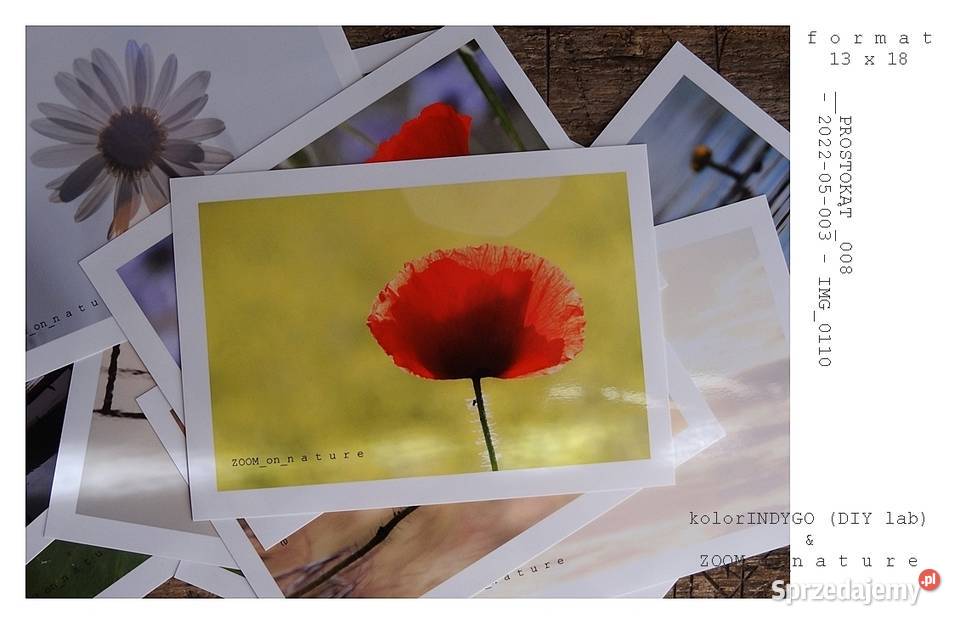 ZDJĘCIA przyrodnicze czII Wyposażenie wnętrz Witnica