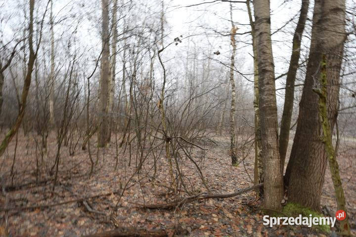 Działka do sprzedania 3300m2 Jodłówka małopolskie