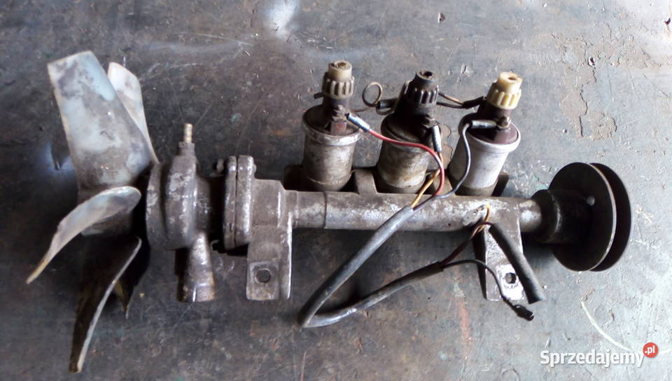 Syrena świętokrzyskie Kielce