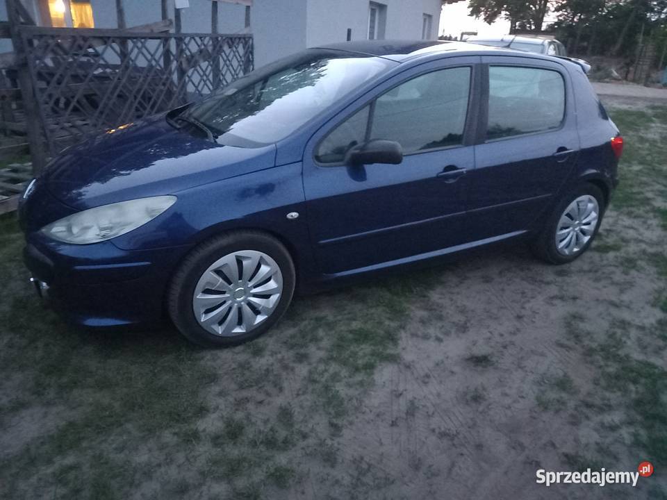 Peugeot 307 2007 Rok produkcji 2007 Sieradz sprzedam