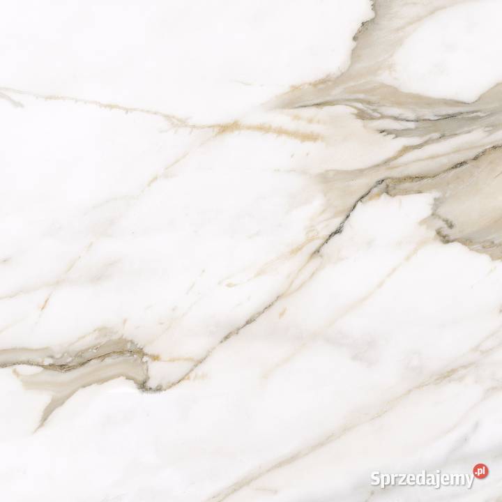 Gres Calacatta Gold satin 60x60K