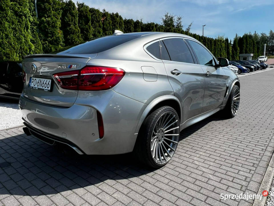 BMW X6 M50 Salon Polska Pakiet Hamman Bezwypadek Zarejestrowany w Polsce