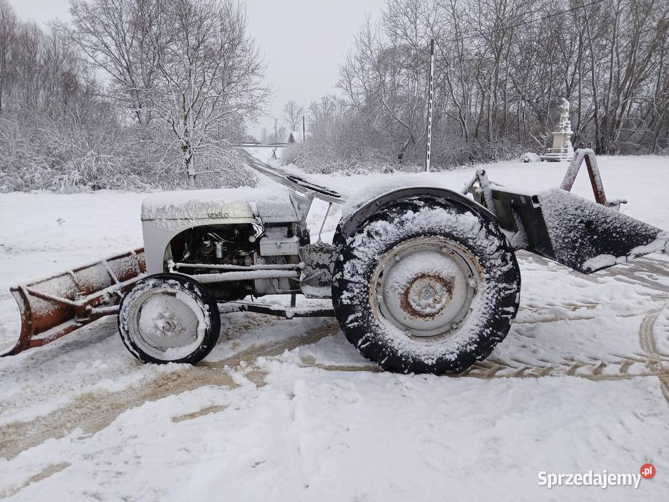 Ciągnik Mf Ta 20 ładny Rolnictwo świętokrzyskie Nowy Korczyn sprzedam