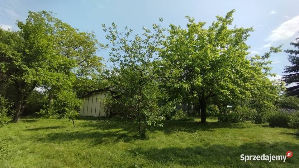 Działka ROD Łódź Dąbrowa łódzkie