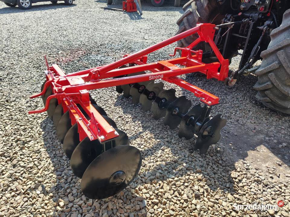 Talerzowka śląskie Golasowice