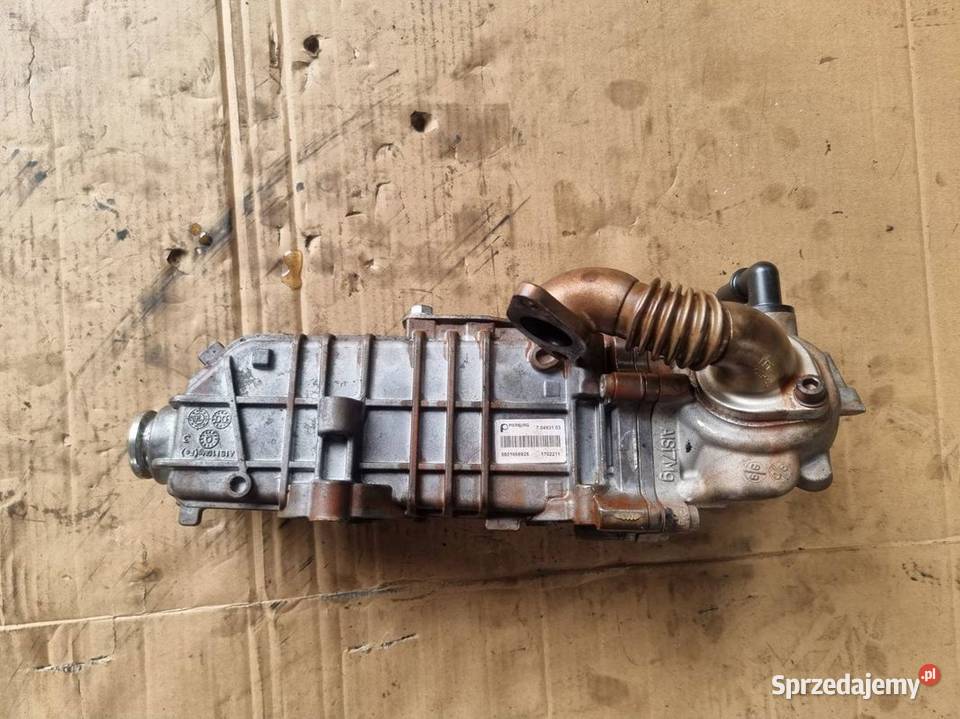 CHŁODNICA EGR IVECO DAILY 35S18 5801668925 osobowe kujawsko-pomorskie